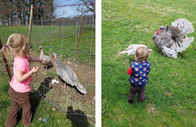 kids with turkeys